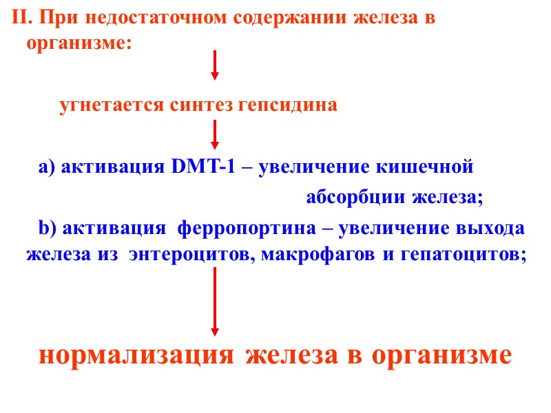 II. При недостаточном содержании железа в организме:       